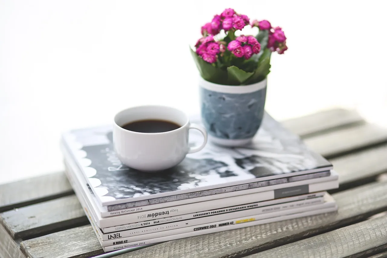 7 Tips to Organize Magazine Clutter