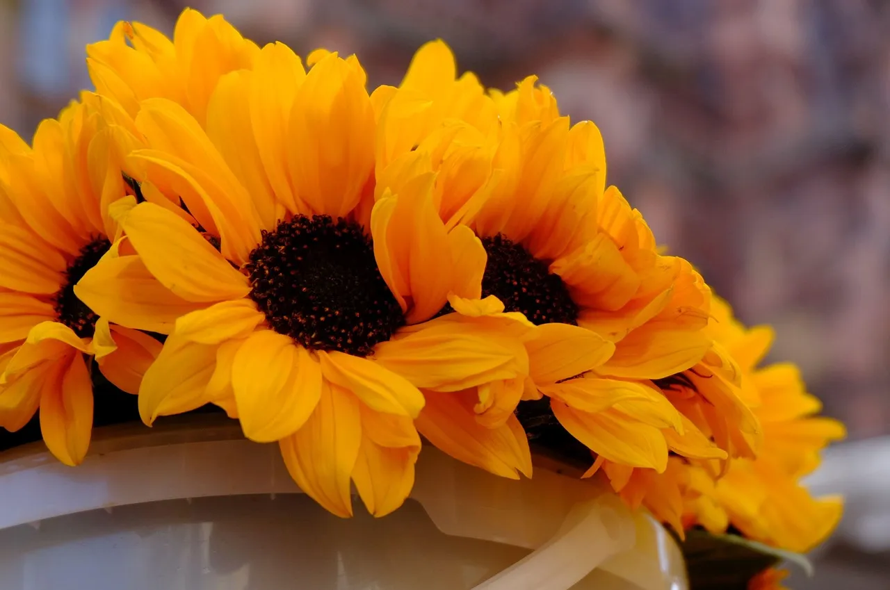 Summer Bucket List - What's On Yours? - list of ideas that I want to accomplish this summer, things to do with family