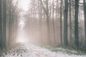 Starting Over - First post in a new blog