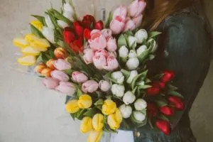 Freebies Friday Once Again!