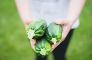 Patience - Lessons From My Garden