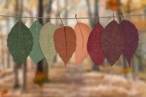 First Day of Fall 2019
